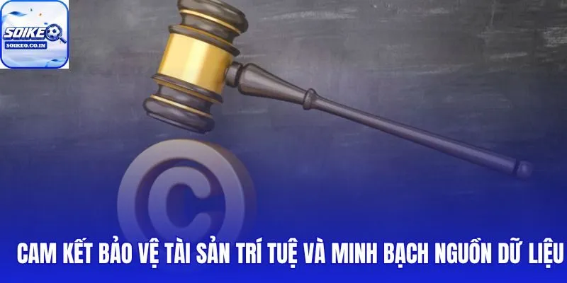 Chính sách bản quyền gắn liền với bảo mật SSL và truy cập ẩn danh miễn phí