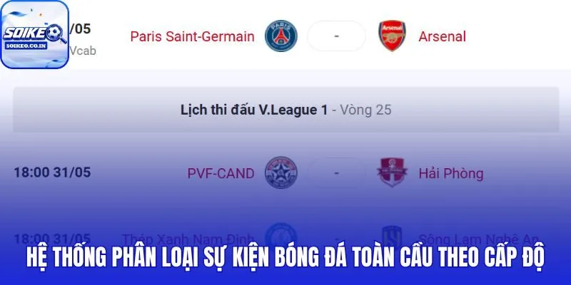 Lịch thi đấu phân tầng từ đội tuyển quốc gia đến câu lạc bộ