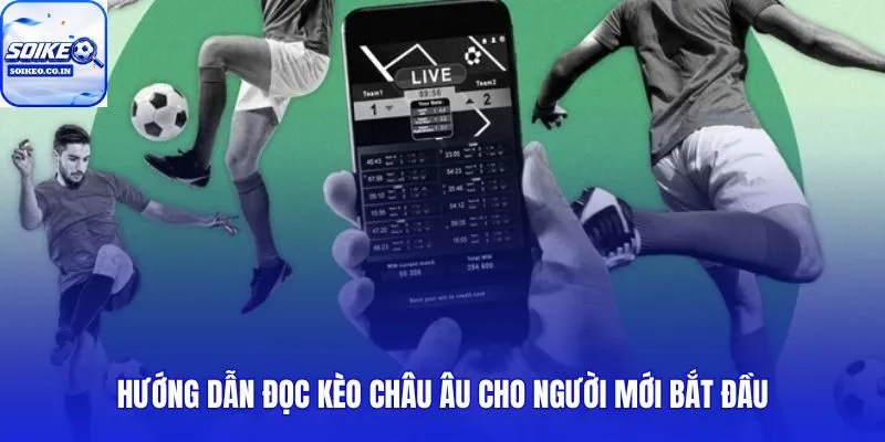 Cẩm nang hướng dẫn cách đọc tỷ lệ kèo