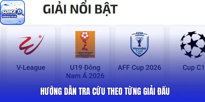 Danh mục giải đấu phân tầng theo bảng xếp hạng và cấp độ chuyên môn