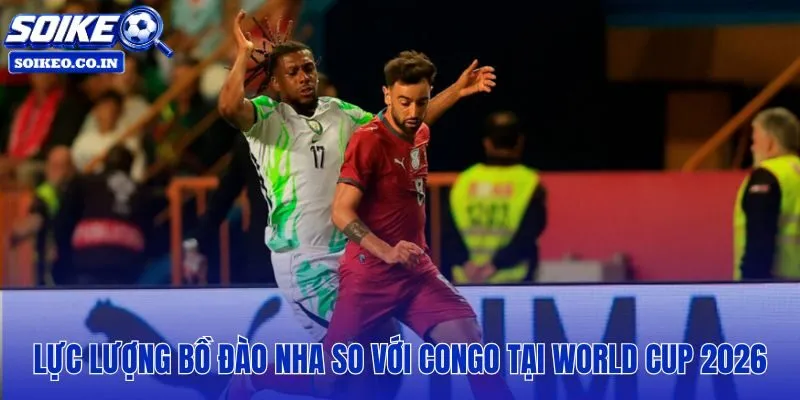 Bồ Đào Nha vs Congo: 00h00, 18/06 và khoảng cách từng tuyến trên sân
