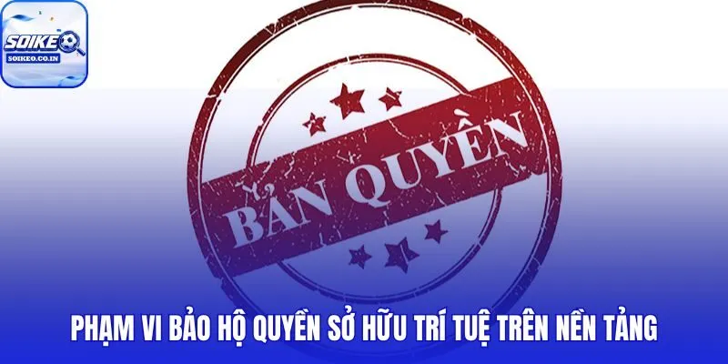 Chính sách bản quyền phân định rõ tài sản chất xám và giới hạn pháp lý
