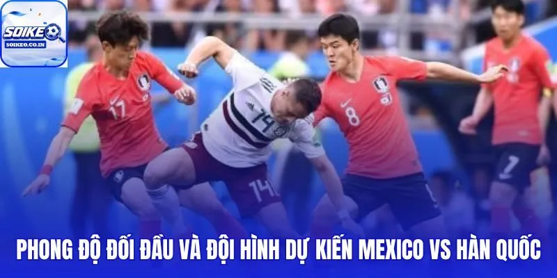 Mexico vs Hàn Quốc: 08:00 ngày 19/06 cùng dữ liệu phong độ và nhân sự