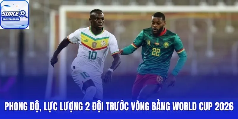 Pháp vs Senegal: 02h00, 17/06 dưới góc phong độ và thể trạng nhân sự