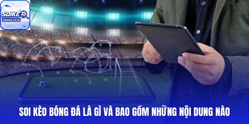 Soi kèo từ tỷ lệ odds đến phong độ và biến động thị trường