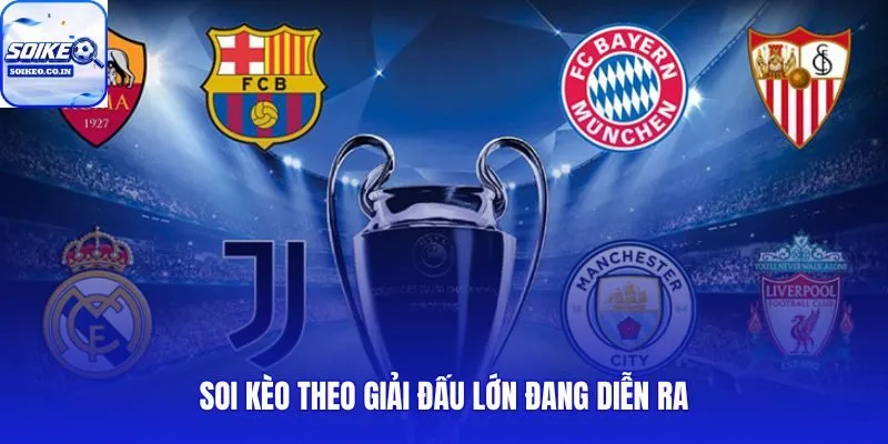 Hướng dẫn soi kèo bóng đá trực tuyến theo từng giải đấu lớn