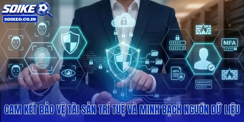 Chính sách bản quyền gắn liền với bảo mật SSL và truy cập ẩn danh miễn phí