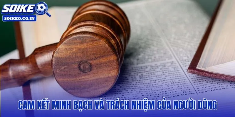 Miễn trừ trách nhiệm đi kèm cam kết minh bạch từ cả hai phía