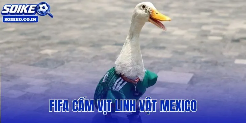 FIFA cấm vịt linh vật Mexico
