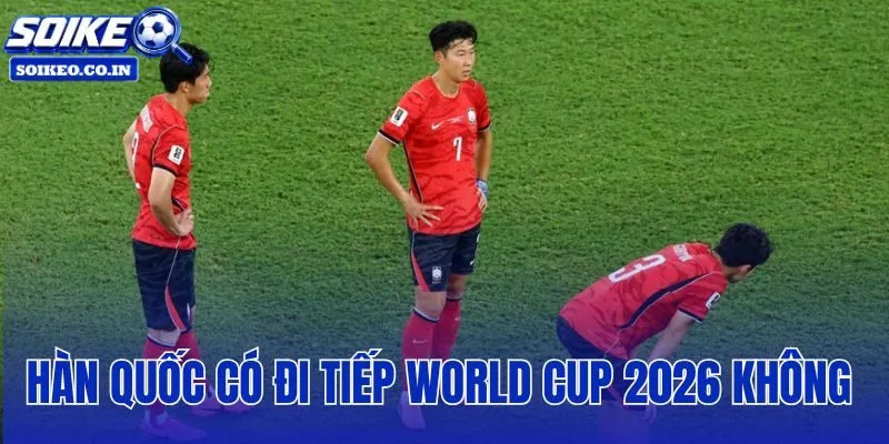 Hàn Quốc Có Đi Tiếp World Cup 2026 Không
