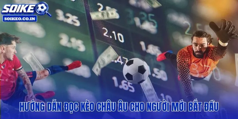 Cẩm nang hướng dẫn cách đọc tỷ lệ kèo