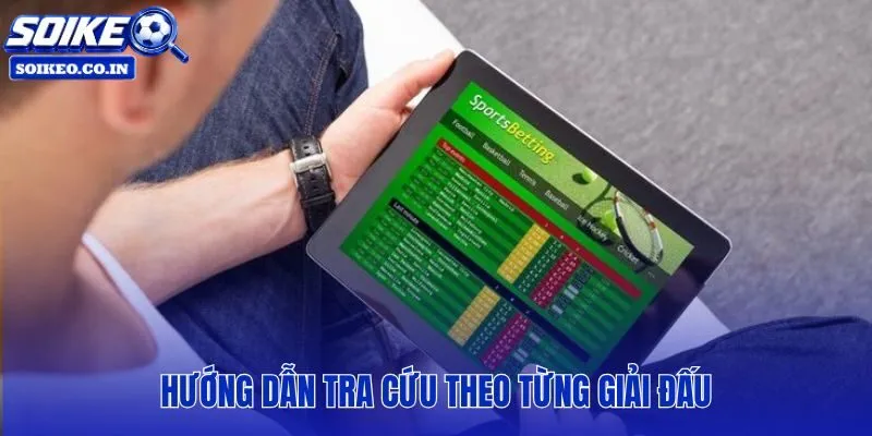 Danh mục giải đấu phân tầng theo bảng xếp hạng và cấp độ chuyên môn