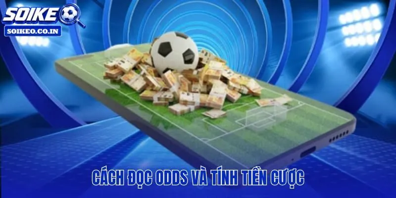 Bảng odds và cách tính tiền thắng thua theo từng loại kèo