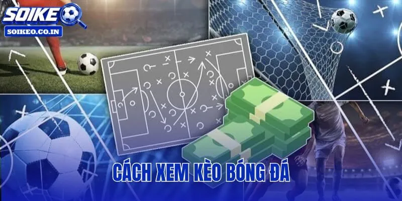 Cách Xem Kèo Bóng Đá