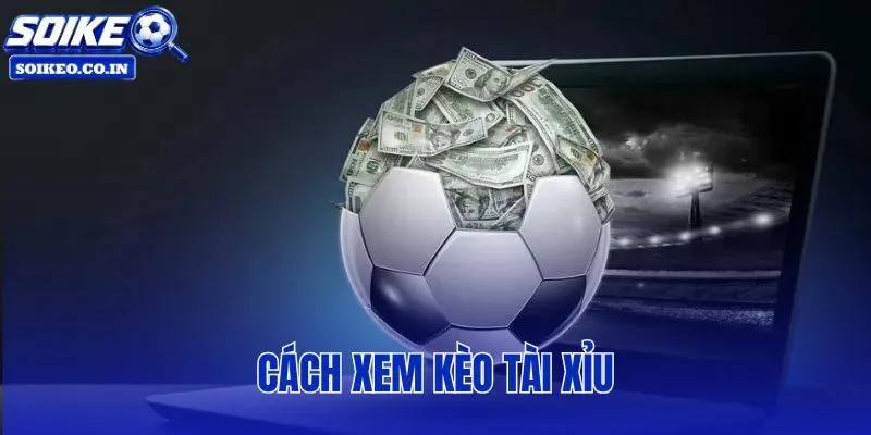 Cách Xem Kèo Tài Xỉu
