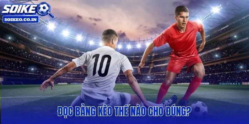 Cách xem kèo bóng đá theo thứ tự loại kèo, mức chấp và tỷ lệ thưởng