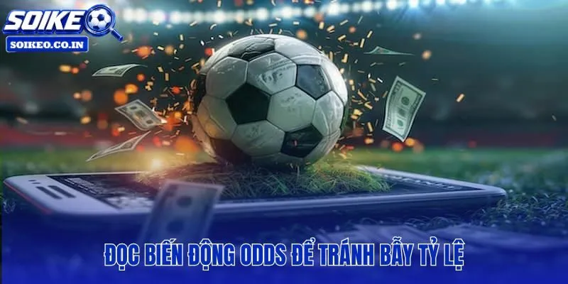 Biến động odds và dấu hiệu lệch nhịp dữ kiện