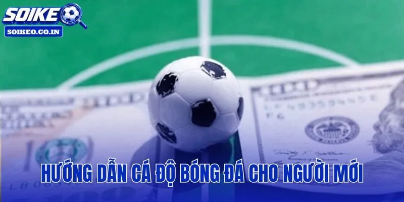 Hướng Dẫn Cá Độ Bóng Đá Cho Người Mới