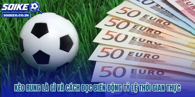 Kinh nghiệm đánh kèo rung qua biến động odds và mức chấp 0.25 – 0.75