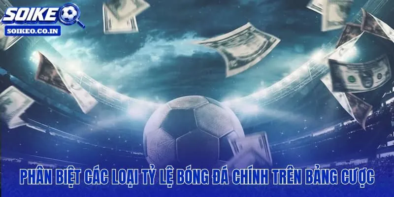 Ba loại tỷ lệ chính thường gặp trên bảng cược online