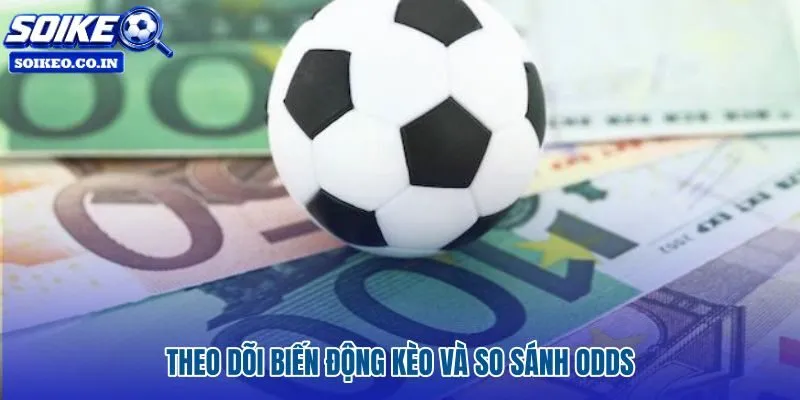 Tỷ lệ kèo nhà cái hôm nay qua nhịp dịch chuyển và độ lệch giữa các sàn